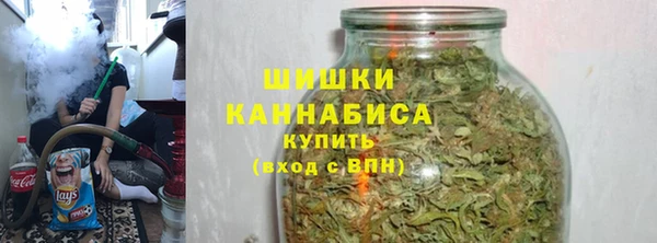 дживик Белокуриха