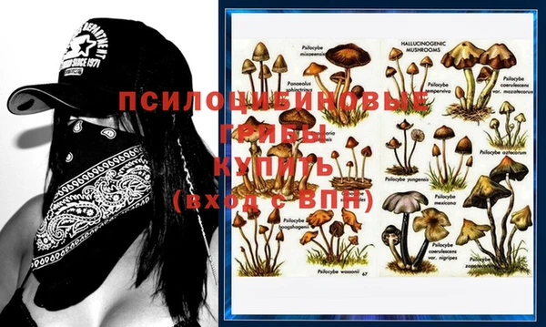дживик Белокуриха
