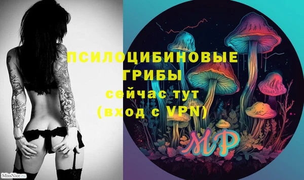 метадон Беломорск