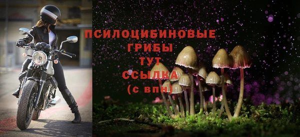 дживик Белокуриха