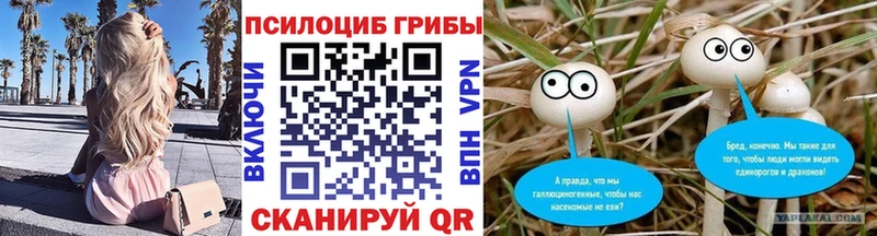 Псилоцибиновые грибы мухоморы  Краснознаменск 