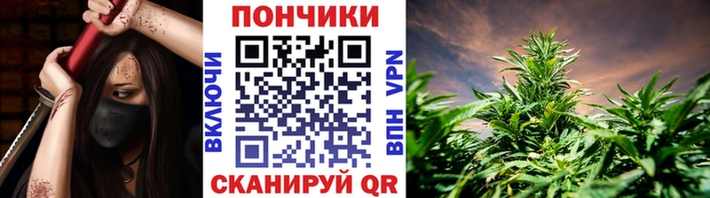 Марихуана OG Kush  omg рабочий сайт  Краснознаменск 